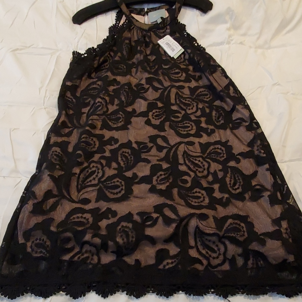 NW Skies are blue women's black lace dress